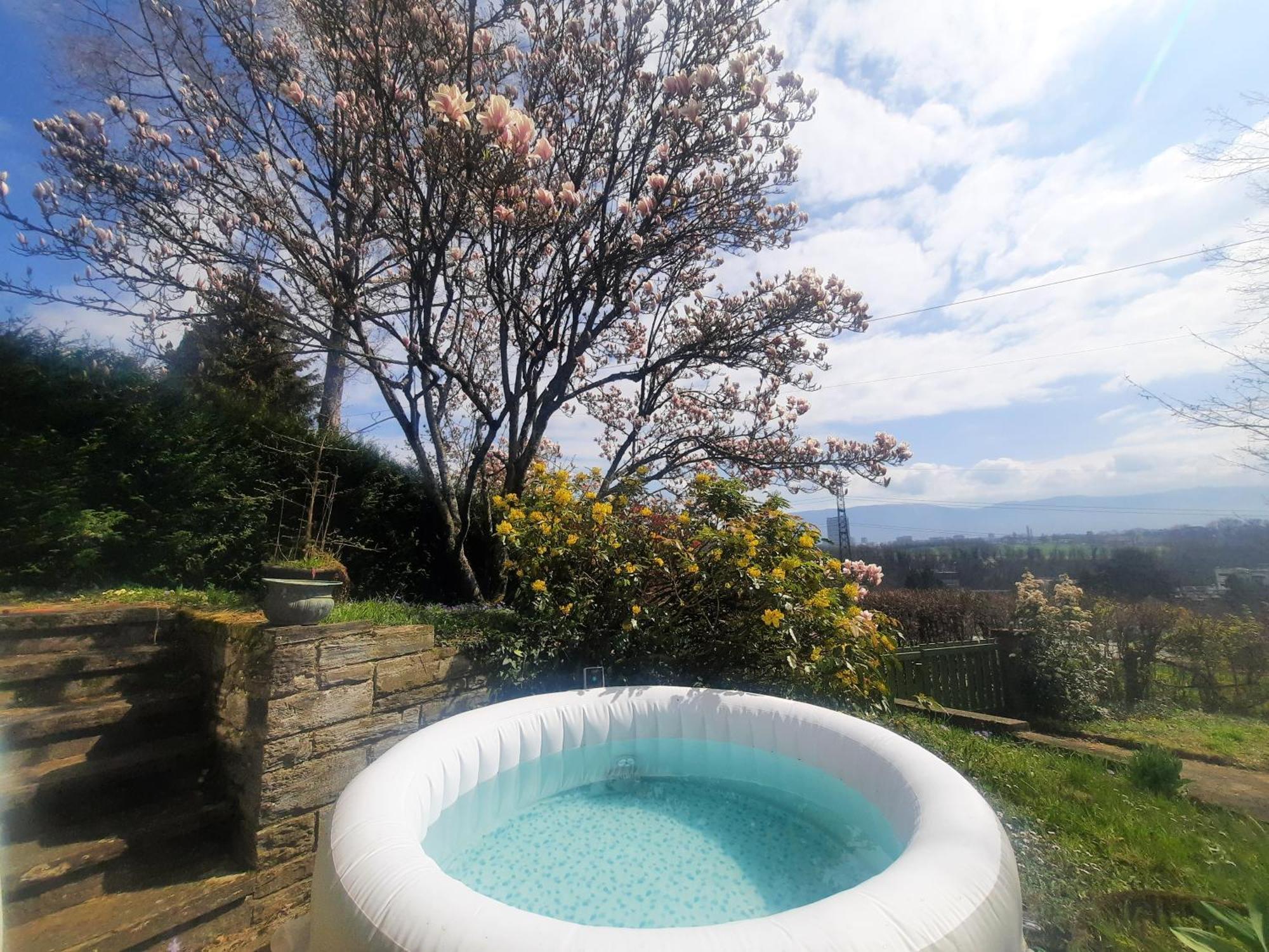 Magnolia